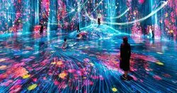 「【六本木・赤坂ほか】人気おでかけスポットTOP10 デジタルアートと科学館が上位」の写真