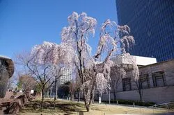 「【六本木・赤坂ほか】人気おでかけスポットTOP10 デジタルアートと科学館が上位」の写真