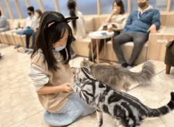 「【池袋・豊島区周辺】人気おでかけスポットTOP10 水族館・テーマパークが上位に」の写真