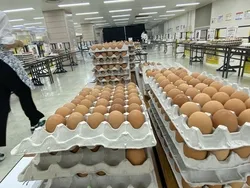 「9万個の卵で食べ放題！池袋「卵フェスin東京2026」で伝説のTKG体験」の写真