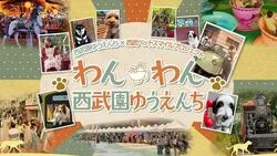 「【関東】2026年10月におすすめ！親子向けおでかけ先＆イベントまとめ」の写真
