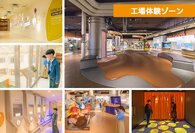 【2026】全国のチョコレート工場見学14選　無料・試食・お土産・手作り体験もの5枚目の写真