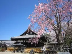 国宝や歴史ある建造物が残る「安倍文殊院」