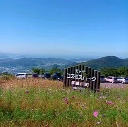 鷲ヶ峰山頂から雄大な景色を一望できる「鷲ヶ峰コスモスパーク」