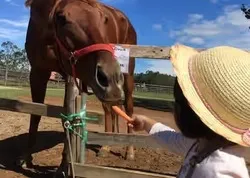 「里山ふれあい牧場」は動物のエサやり体験もできます！