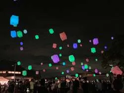 過去開催時の様子
