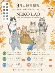 期間限定ショップに並ぶ商品イメージ
