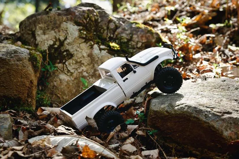 WILD SAFARI RC CHALLENGE