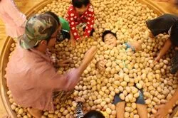 「【関東】子供に人気の美術館ランキング 2026シルバーウィークにおすすめ」の写真
