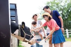 「【関東】子供に人気の牧場ランキング 2026シルバーウィークにおすすめ」の写真