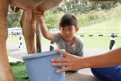 「【関東】子供に人気の牧場ランキング 2026シルバーウィークにおすすめ」の写真