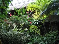 「【関東】子供に人気の植物園・フラワーパークランキング 2026シルバーウィークに」の写真