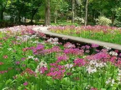 「【関東】子供に人気の植物園・フラワーパークランキング 2026シルバーウィークに」の写真