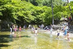 「【東海】子供に人気の自然景観スポットランキング 2026シルバーウィークにも」の写真