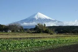 「【東海】子供に人気の農業体験ランキング 2026シルバーウィークにおすすめ」の写真