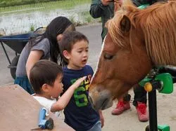 「【東海】子供に人気の農業体験ランキング 2026シルバーウィークにおすすめ」の写真