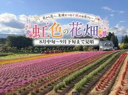 「【東海】子供に人気のアスレチックランキング 2026シルバーウィークにおすすめ」の写真