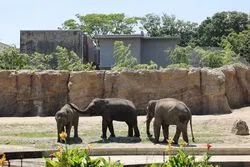 「【東海】子供に人気の動物園ランキング 2026シルバーウィークにおすすめ」の写真