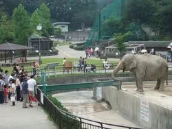 「【東海】子供に人気の動物園ランキング 2026シルバーウィークにおすすめ」の写真