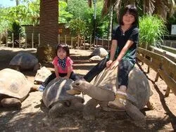 「【東海】子供に人気の動物園ランキング 2026シルバーウィークにおすすめ」の写真