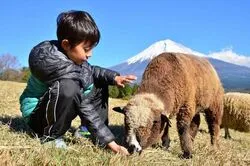 「【東海】子供に人気の牧場ランキング 2026シルバーウィークにおすすめ」の写真