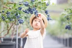 「【東海】子供に人気の牧場ランキング 2026シルバーウィークにおすすめ」の写真