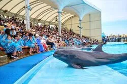 「【東海】子供に人気の水族館ランキング 2026シルバーウィークにおすすめ」の写真