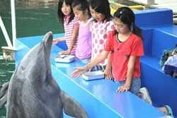 「【東海】子供に人気の水族館ランキング 2026シルバーウィークにおすすめ」の写真