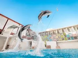 「【東海】子供に人気の水族館ランキング 2026シルバーウィークにおすすめ」の写真