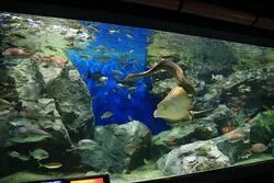 「【東海】子供に人気の水族館ランキング 2026シルバーウィークにおすすめ」の写真