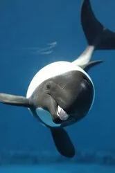 「【東海】子供に人気の水族館ランキング 2026シルバーウィークにおすすめ」の写真