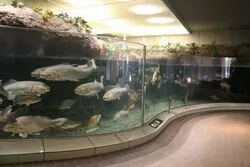 「【東海】子供に人気の水族館ランキング 2026シルバーウィークにおすすめ」の写真