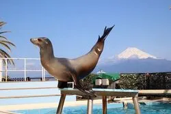「【東海】子供に人気の水族館ランキング 2026シルバーウィークにおすすめ」の写真