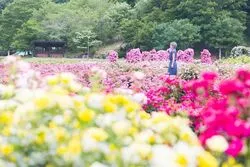 「【東海】子供に人気の植物園・フラワーパークランキング 2026シルバーウィークに」の写真
