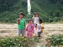 「【関西】子供に人気の農業体験ランキング 2026シルバーウィークにおすすめ」の写真