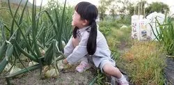 「【関西】子供に人気の農業体験ランキング 2026シルバーウィークにおすすめ」の写真