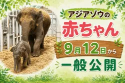 「【関西】子供に人気の遊園地ランキング 2026シルバーウィークにおすすめ」の写真
