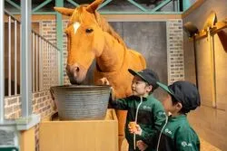 「【関西】子供に人気の体験施設ランキング 2026シルバーウィークにおすすめ」の写真