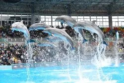 「【関西】子供に人気の体験施設ランキング 2026シルバーウィークにおすすめ」の写真