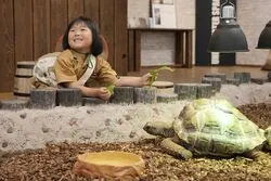 「【関西】子供に人気の動物園ランキング 2026シルバーウィークにおすすめ」の写真
