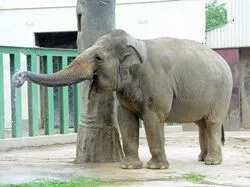 「【関西】子供に人気の動物園ランキング 2026シルバーウィークにおすすめ」の写真