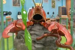 「【関西】子供に人気の水族館ランキング 2026シルバーウィークにおすすめ」の写真