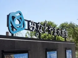 「【関西】子供に人気の水族館ランキング 2026シルバーウィークにおすすめ」の写真
