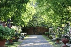 「【関西】子供に人気の植物園・フラワーパークランキング 2026シルバーウィークに」の写真
