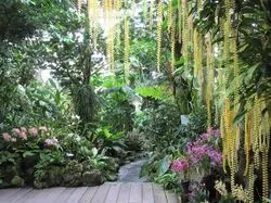 「【関西】子供に人気の植物園・フラワーパークランキング 2026シルバーウィークに」の写真