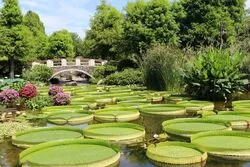 「【関西】子供に人気の植物園・フラワーパークランキング 2026シルバーウィークに」の写真