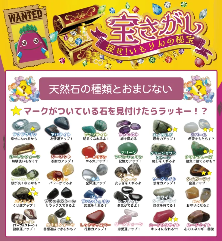宝さがしで見つけられる宝石の種類