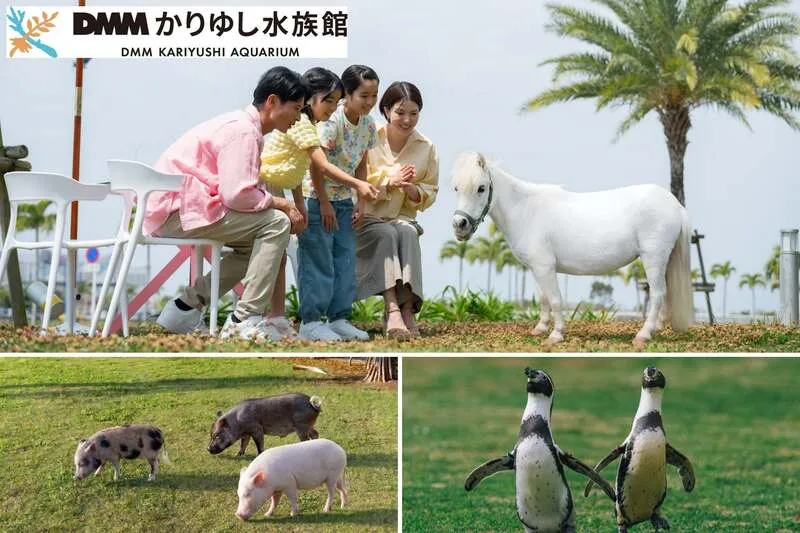 屋外エリアでマイクロブタ・ミニチュアポニーとふれあい