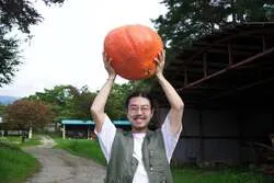 約50cmの超巨大カボチャ
