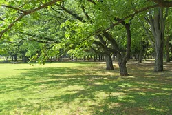 広々とした園内には親子で楽しめる遊び場も充実